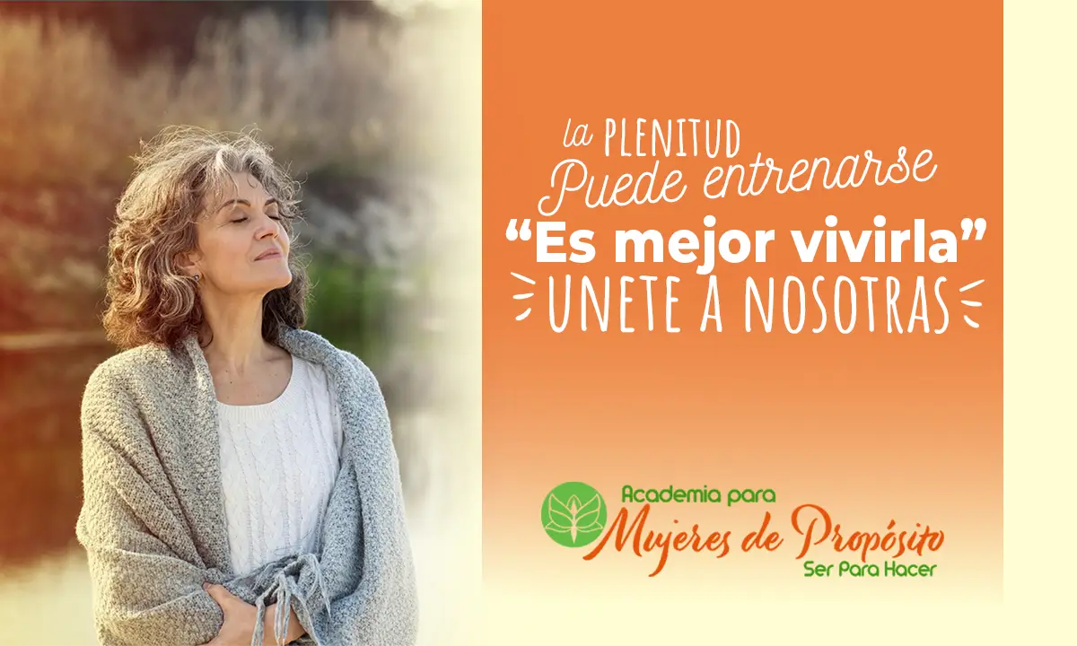 banner pagina principal medida 1200 x 720